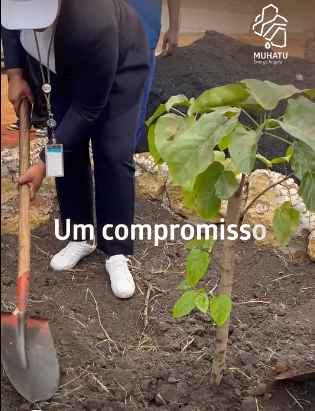 O que plantamos hoje, cresce amanhã.